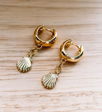 Load image into Gallery viewer, Gold Sea shell hoops
